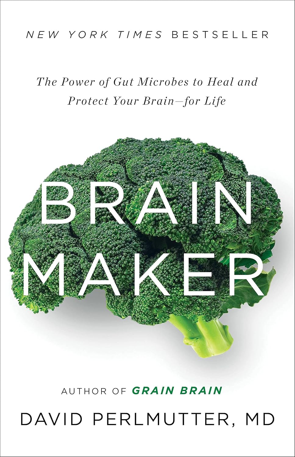 BrainMakerBook
